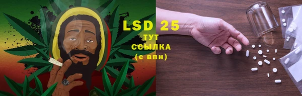 каннабис Инта