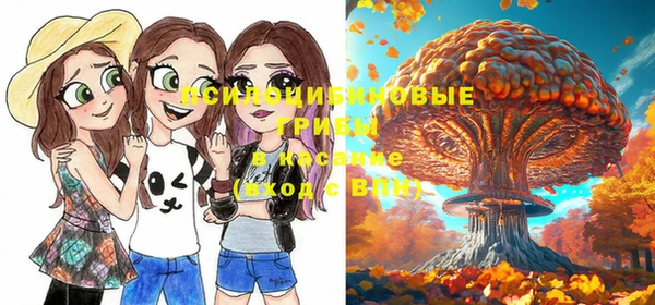 ПСИЛОЦИБИНОВЫЕ ГРИБЫ Лихославль